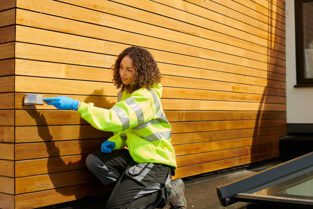 Best Stone Veneer Siding  in San Rafael, NM
